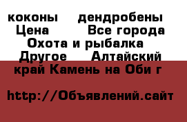 коконы    дендробены › Цена ­ 25 - Все города Охота и рыбалка » Другое   . Алтайский край,Камень-на-Оби г.